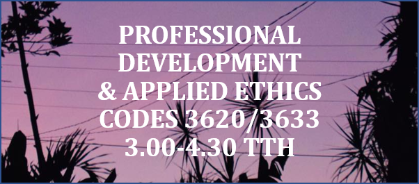 Summary Of Professional Development Applied Ethics summary-of-professional-development-applied-ethics